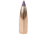 Nosler Ballistic Tip Varmint Bullets 243 Caliber and 6mm (243 Diameter) 70 Grain Spitzer Boat Tail (250pk)